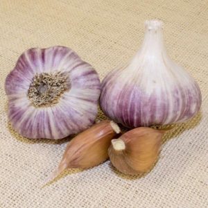 Red Dry Garlic